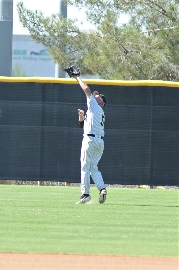 Seals_2019-10-09 (304).JPG - (c)2010 DeVetter